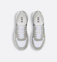 Dior B25 Grey
