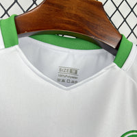Maillot Irlande Concept 2026